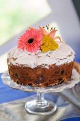 Doctor Who wedding (70)