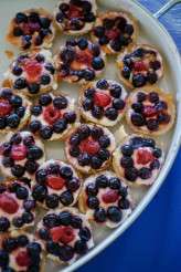 Doctor Who wedding (72)