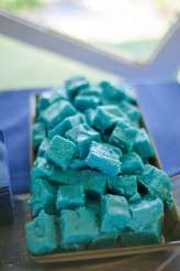 Doctor Who wedding (74)