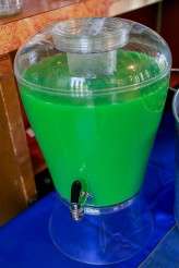 Doctor Who wedding (76)