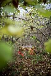 Peter Pan styled wedding shoot nicki komorowski photography 2015-193