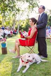 hot air balloon wedding in brazil (56)