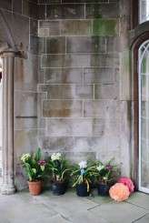 Caro Weiss Culzean Castle Wedding-8