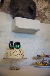 Gothic Halloween Wedding… With Sphynx Cats (30)