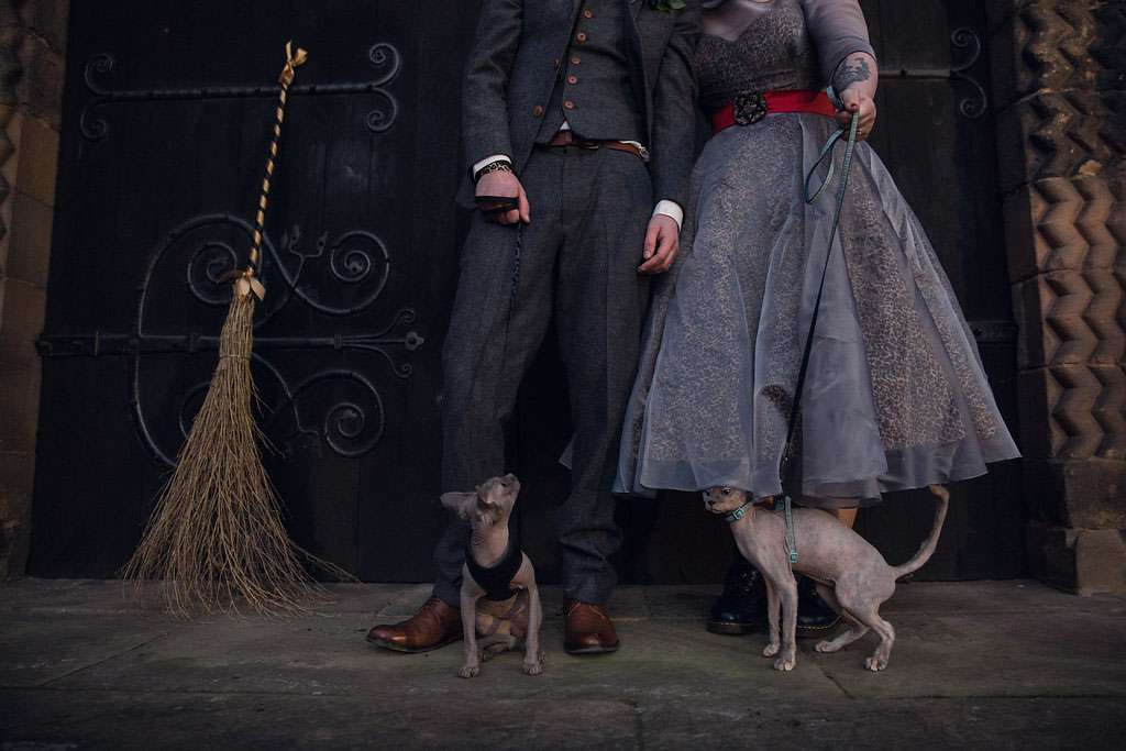 Gothic Halloween Wedding... With Sphynx Cats (40)