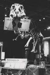 Horror themed museum wedding (40)