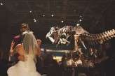 Horror themed museum wedding (44)