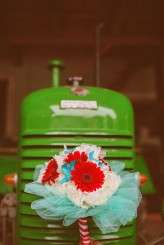 Slovenian circus wedding (7)