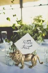 french_circus_wedding_Sarah_Kathleen-169