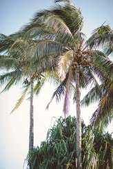 kauai elopement wedding (10)