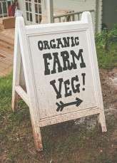 Nicolas Cage Sons Wedding_via rocknrollbride.com_howell-jones-photography (6)