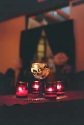 leopard print wedding (32)