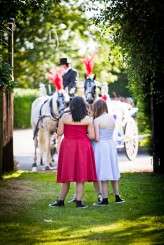 rainbow fairy wedding bride in wings (9)