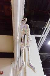 Day of the Dead Wedding _ Tux and Tales Photography (7)