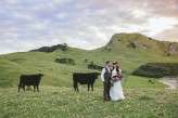casual and beautiful new zealand wedding (39)