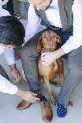 casual and beautiful new zealand wedding (5)