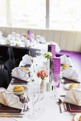 geeky doctor who wedding (15)