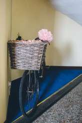 Kelly McAllister Photography Shirley Jonny-154