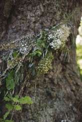 Dracula’s Bride // Love is Blindness