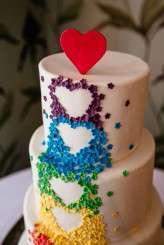 colourful rainbow rose and pixel wedding (69)