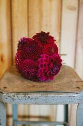 late summer wedding in the midwest (7)