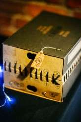 steampunk wedding (31)