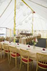 Ancient Woodland Welsh Wedding (5)