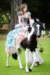 Game of Thrones, Lord of the Rings, Swords, Castles and Horses! (7)