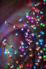 Pixars Up themed wedding (35)