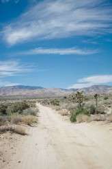 diy desert wedding (1)