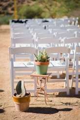 diy desert wedding (20)