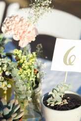 diy desert wedding (33)