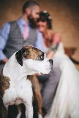 rustic colorado wedding (14)