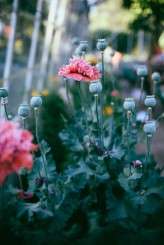 secret woodland wedding in cornwall (42)