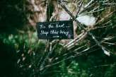 secret woodland wedding in cornwall (5)