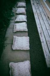 secret woodland wedding in cornwall (68)