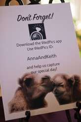 Batman jester camel wedding (13)