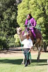 Batman jester camel wedding (24)