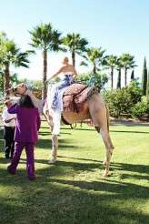 Batman jester camel wedding (39)