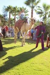 Batman jester camel wedding (41)