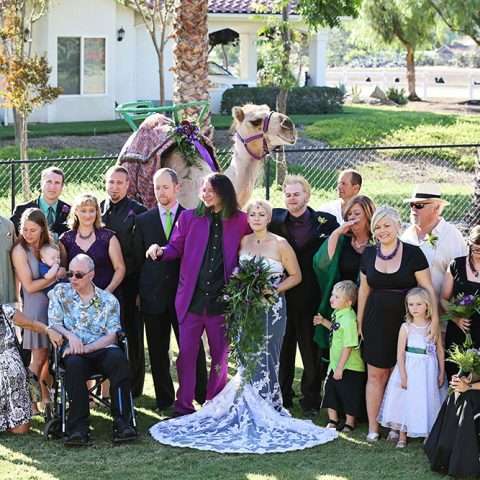 Batman jester camel wedding (43)