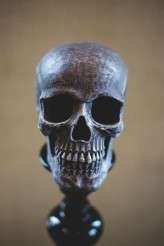 CaliHalloweenWedding_PostBeamCoPhotography205