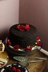 Crimson Peak Inspired Victorian Gothic Bridal Shoot (7)