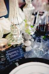 View More: http://clairepacelliphoto.pass.us/raven