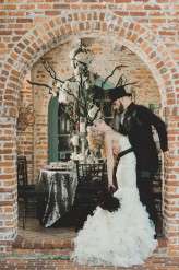 View More: http://clairepacelliphoto.pass.us/raven