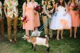 Hawaii tiki goat wedding (35)