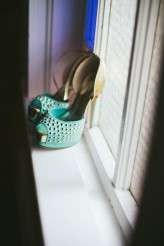 Terrarium wedding in Austin (2)