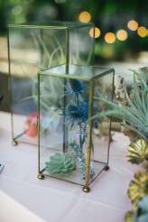Terrarium wedding in Austin (21)