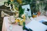 Terrarium wedding in Austin (22)