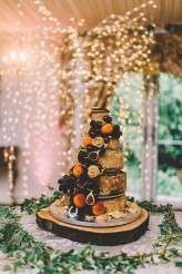 Vinyl Themed, Pink Dress & Beehive Smoke Bomb Wedding-Bridgwood Wedding Photography-366